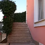 Mia * Pola